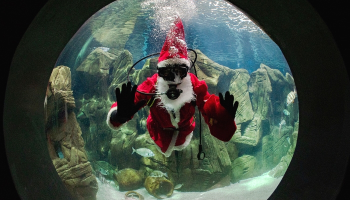 A diver dressed as Santa Claus at the Creta Aquarium in the city of Heraklion on the southern Greek island of Crete. AFP