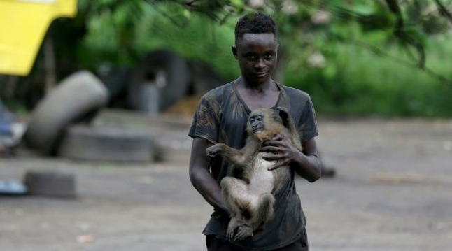 A boy plays with a monkey in the courtyard of a home in Franceville. AFP