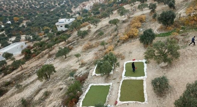 Ibrahim imported Azolla from Egypt via Turkey and planted it in shallow pools. AFP