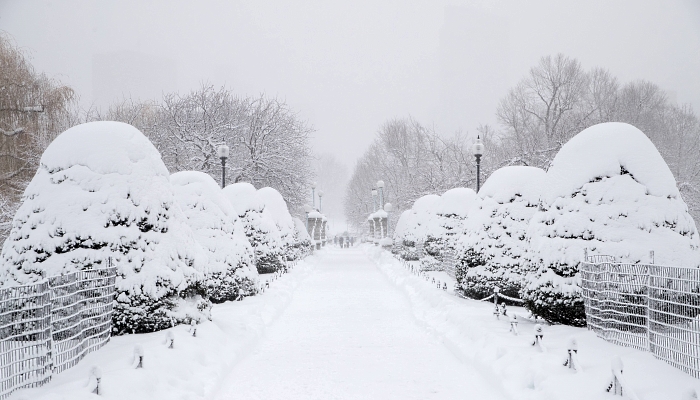 Snow covers the Boston Public Garden in Boston, Massachusetts. AFP
