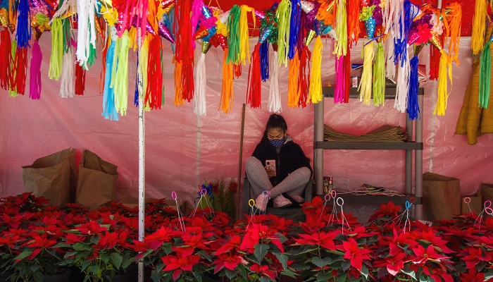 A man sells typical Pinatas and Poinsettia plants, commonly known as Christmas Eve flowers, at a store in Mexico City ahead of Christmas. AFP