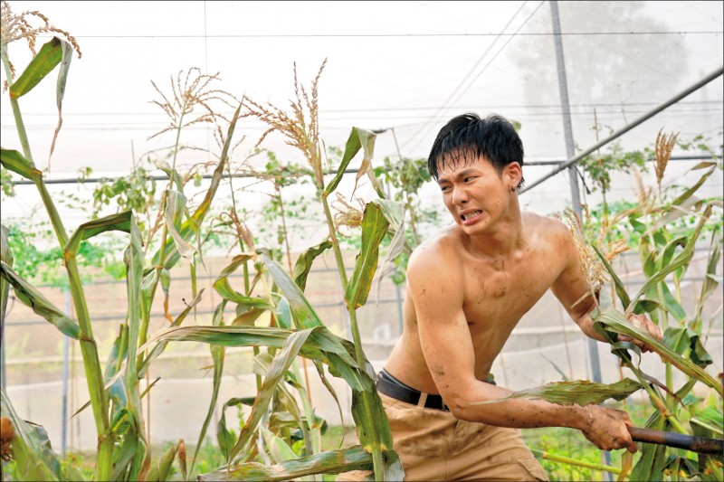 吴念轩在《菠萝蜜》挥汗怒砍玉米田，被导演廖克发妙喻是如珍宝的“龙珠镜头”。