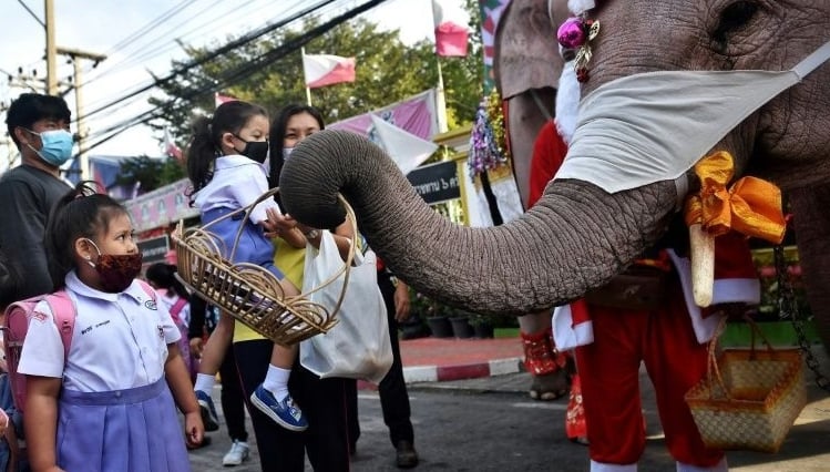 School visit is an annual tradition for the elephants. AFP