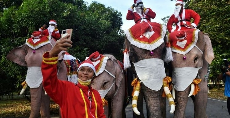 Children and adults lined up to have their pictures taken with the elephants. AFP