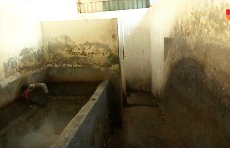 手套厂员工宿舍内的盥洗地点布满了污迹和青苔。