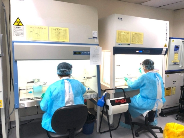 温迦量在3天内召集好IMU团队，于3月27日开始化验冠病检测鼻咽拭子。（图：受访者提供）
