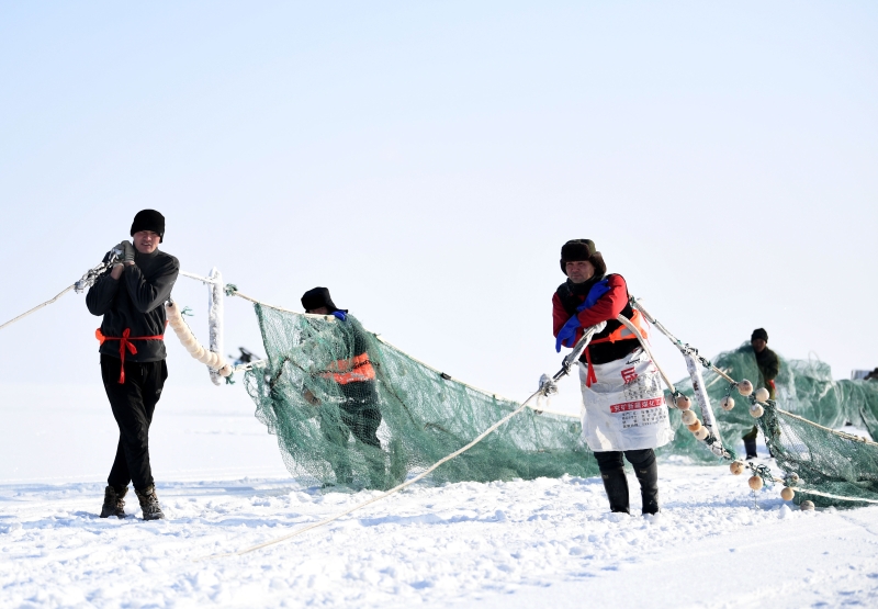 长达2公里的大网在绞网机的牵引和几十位渔民的协助下被缓缓拉出。（图：新华社）
