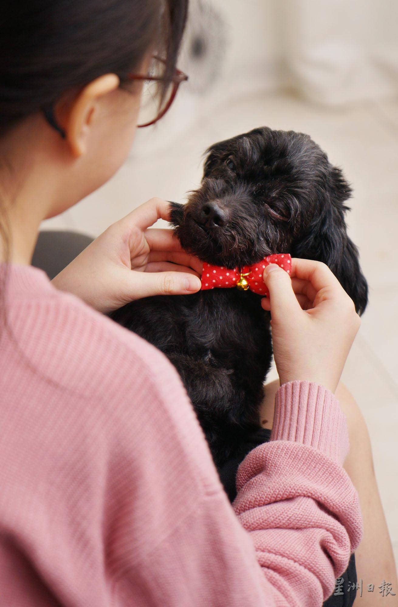 有了Poppy的陪伴，Natky现在都变得比较开朗了。