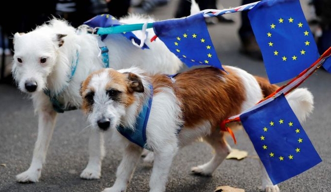 Vets, pet owners and others in Britain are bracing for new and potentially costly bureaucracy from Friday, when the UK ends participation in the EU passport scheme for cats and dogs. AFP