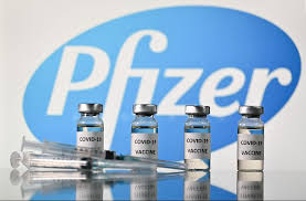 首批的辉瑞冠病疫苗预计将于明年 2月送抵我国。（法新社图）