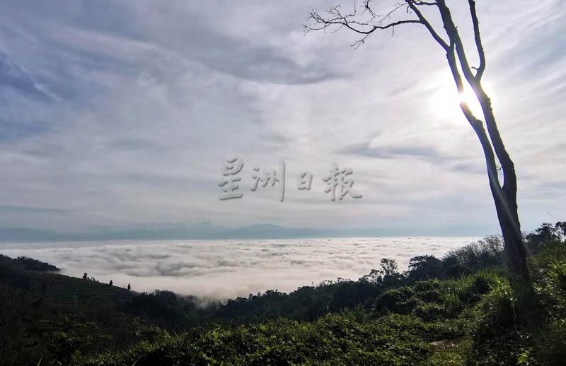吉南双溪吉舌电讯塔山，常有云海围绕，让人惊艳。