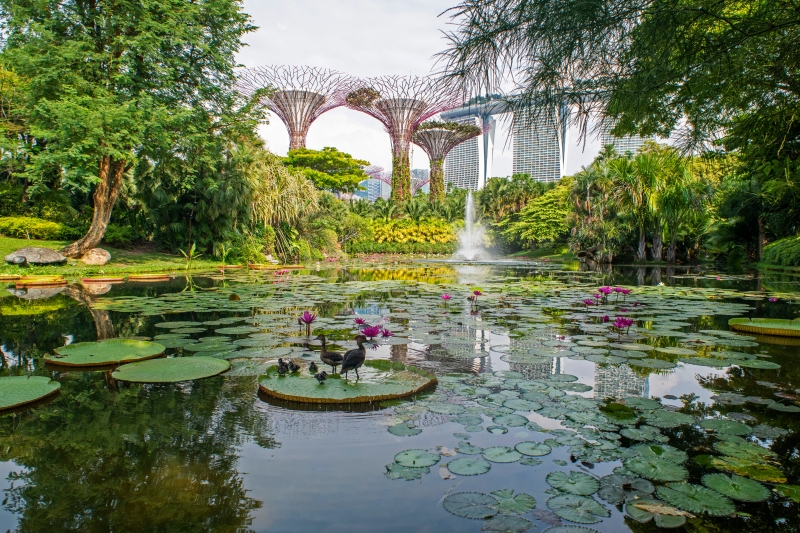 在2012建成的新加坡滨海湾花园，被誉为花园中的城市。