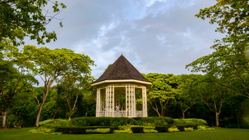 新加坡植物园遍地绿茵，音乐亭上空还出现彩虹，风景如画。　