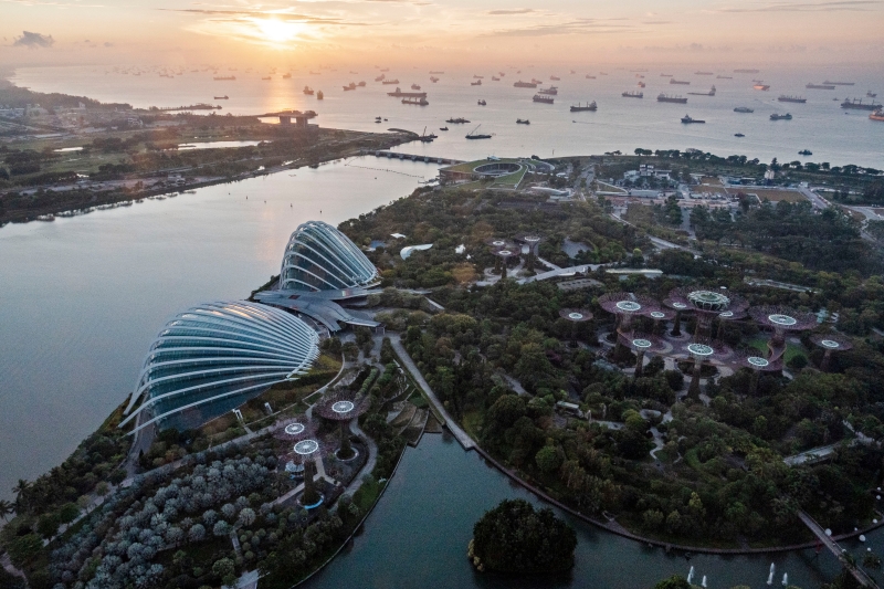 以鸟瞰的角度看新加坡滨海湾花园。 可见绿林一片。