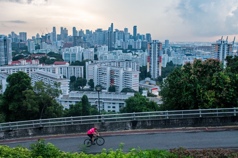 新加坡花柏山经常吸引许多自行车爱好者。　　