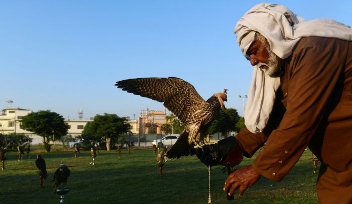 Pakistani conservationists say the country needs some kind of sustainable wildlife program. AFP