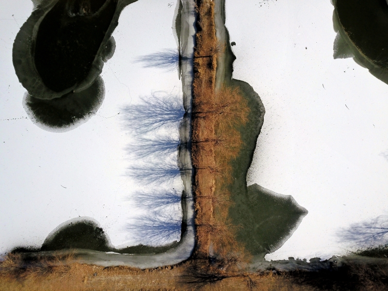 枯黄的树木和冰封的水面，让甘肃省张掖市甘州区碱滩镇一处水塘构成一幅奇特的冬日水墨画卷。（新华社照片）
