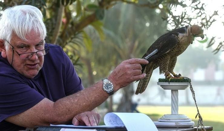 Veteran falcon conservationist Bob Dalton says most species of falcon are either in decline or on the point of being unstable. AFP