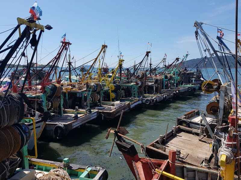 季候风捕鱼淡季等因素，亚庇25％渔船停产。