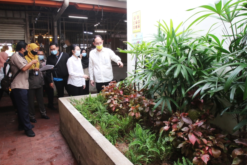 浮罗池滑厕所外种了红桑、棕竹和蕨类植物，绿化环境。右起是李俊杰和陈慧萍。
