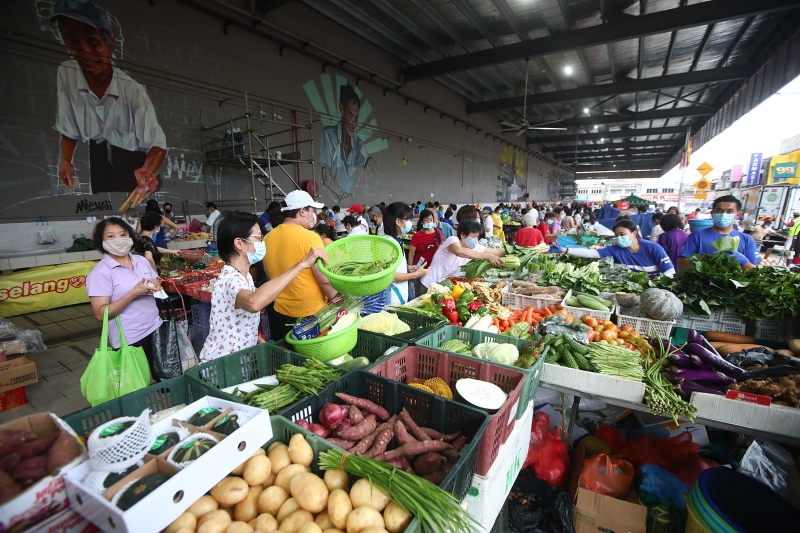 由于目前适逢雨季，本地青菜收成受到影响，菜价上涨了30%。