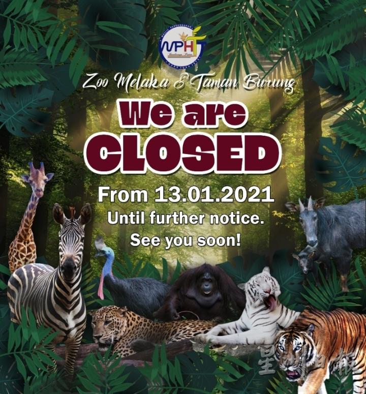 动物园及恐龙园宣布关闭，直至另行通知。

