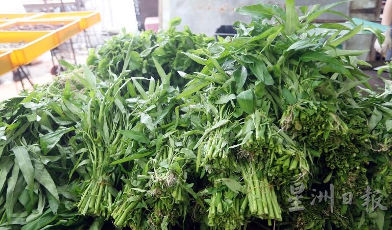 不少叶类蔬菜也从原本的售价涨了至少2令吉。