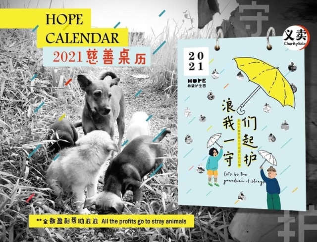 2021年HOPE的日历主题：浪，我们一起守护。