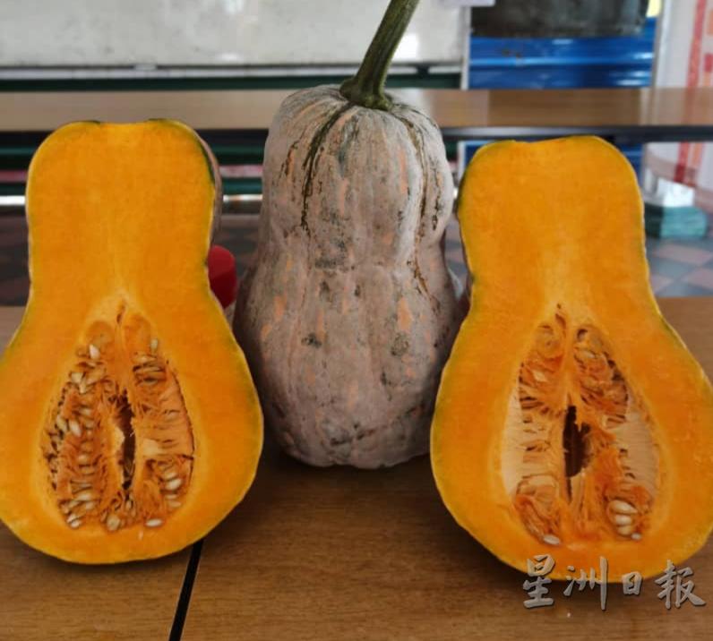 澳洲南瓜外形似葫芦状，果肉呈橙色，肉质较厚。