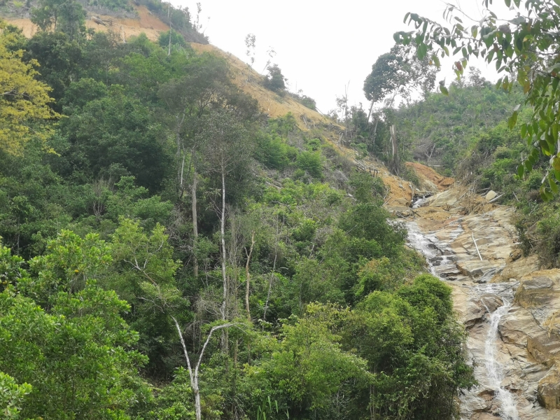 霹雳州政府已指示森林局和环境局针对曼绒昔加里美林丹森林保护区的一座原始瀑布遭到破坏的事件进行调查。