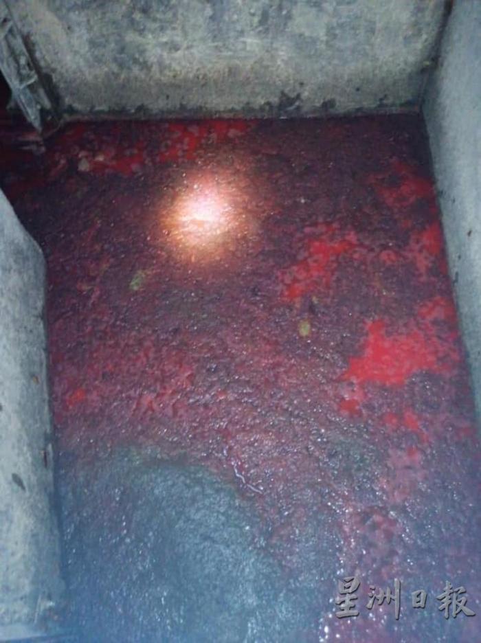 红色废料从排污管道流入英达丽水的排污处理厂。

