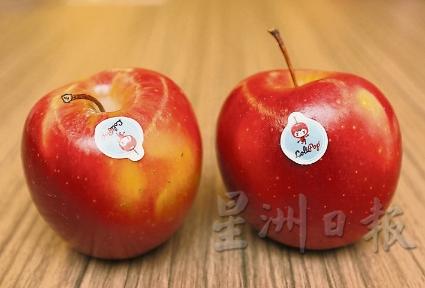法国棒棒糖苹果（Lolipop） 外表甜美娇滴，果香扑鼻，清甜多汁，是2年前推出的新品种，一般在11月尾至隔年三四月才能在本地超市的水果架上找得到。