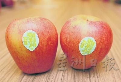 美国索尼娅苹果（Sonya） 最初在纽西兰种植，后来引入美国生产。果形与蛇果相似，外形则接近嘎啦苹果，是俊美靓丽的红黄条纹，果肉扎实，相当脆口。