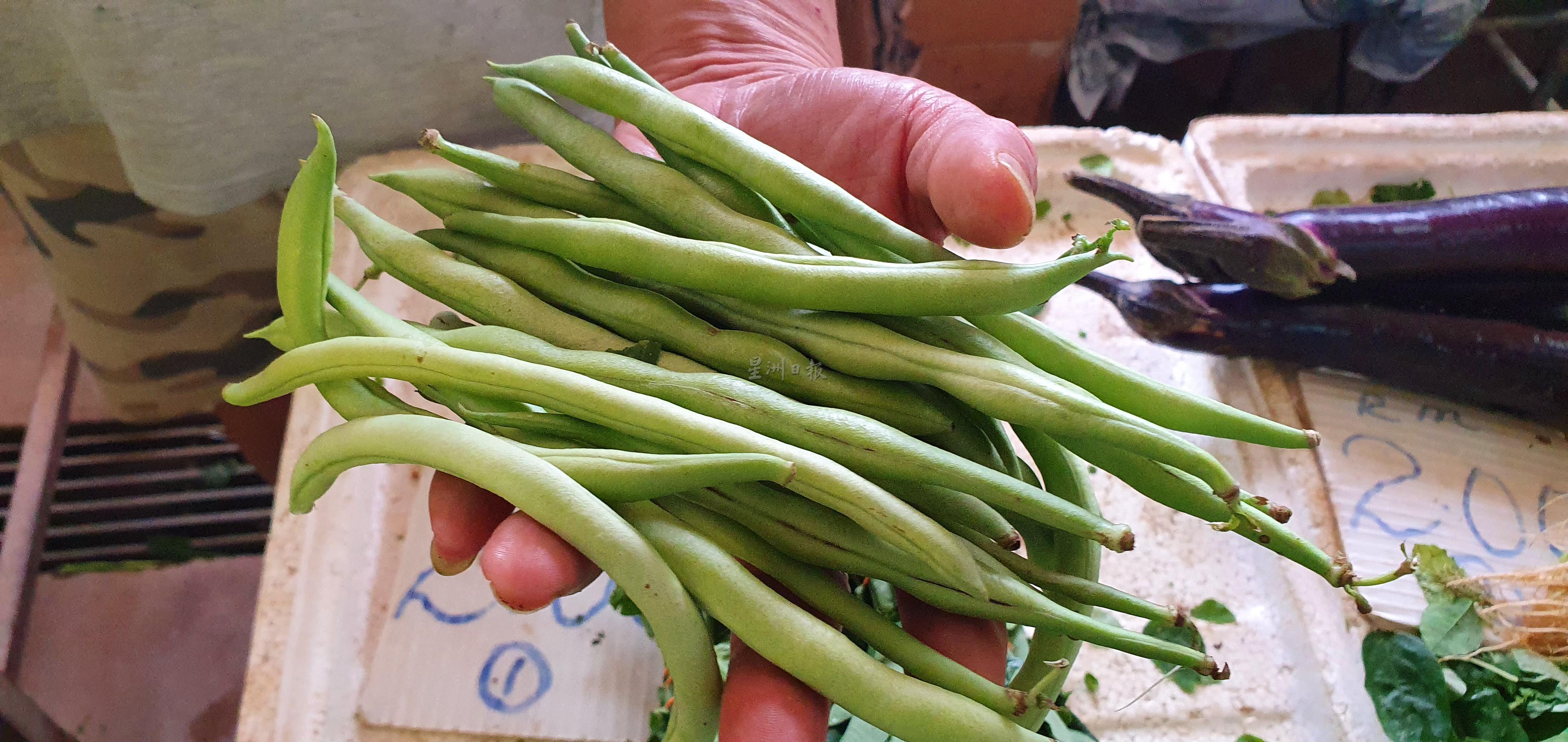 四季豆是近期涨幅最高的蔬菜，价格从原本每公斤10令吉上涨至18令吉。