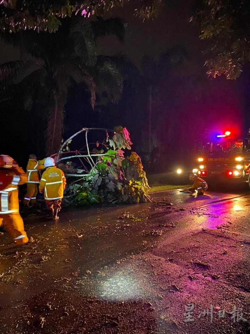 暴风雨后移开倒下的大树，也是加亨志愿消防队队员例常的工作。