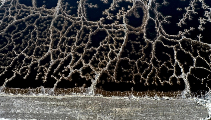 Aerial view showing patterns formed by crystallized minerals on the surface evaporation ponds of the Dead Sea, near the southern Israeli community village of Neve Zohar. AFP