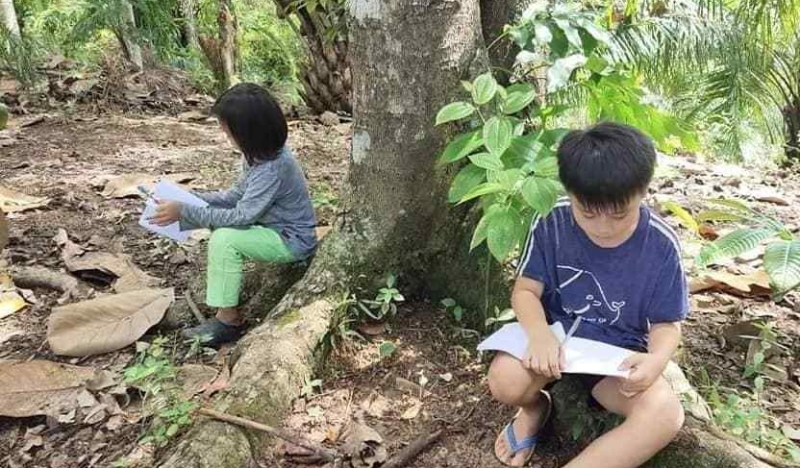 小学生们在树荫下写作业。