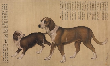清朝画师郎世宁曾为乾隆皇帝10只爱犬画了一幅《十骏犬图》，当中有一只也是四脚穿着白袜，所以禁忌与吉利都是见仁见智。（网络照片）