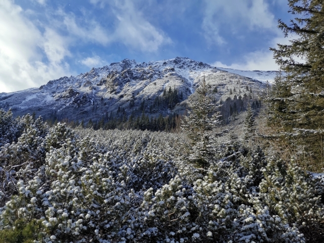 11月底的Morskie Oko开始下雪，沿途被白雪覆盖的山峦、树林景观，美得极之梦幻，非常疗愈。

