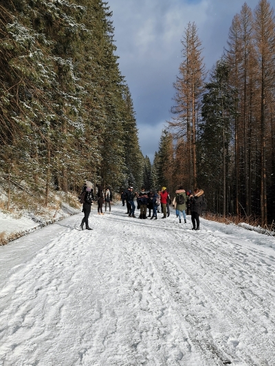 被称作“波兰的冬季首都”的扎科帕内，每到冬季会有很多游客到塔特拉山脉体验各种雪上运动。

