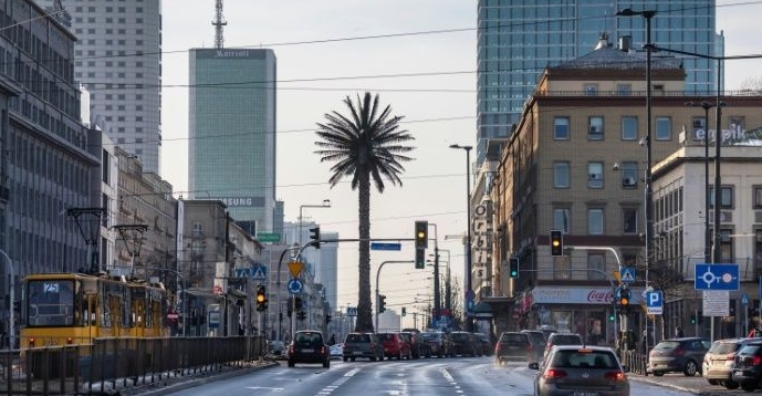 Warsaw's lone palm tree has taken root in the city's landscape and affections. AFP