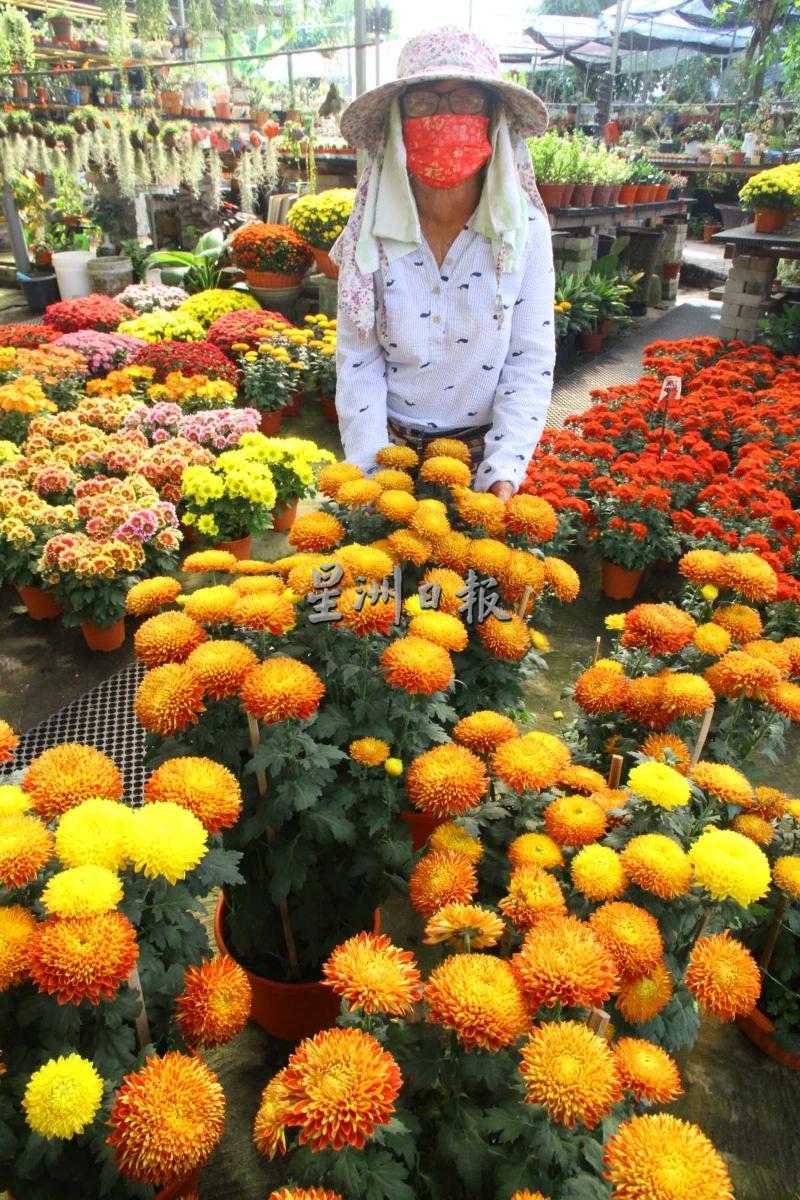 花婆婆说今年整个花市场走的好慢。