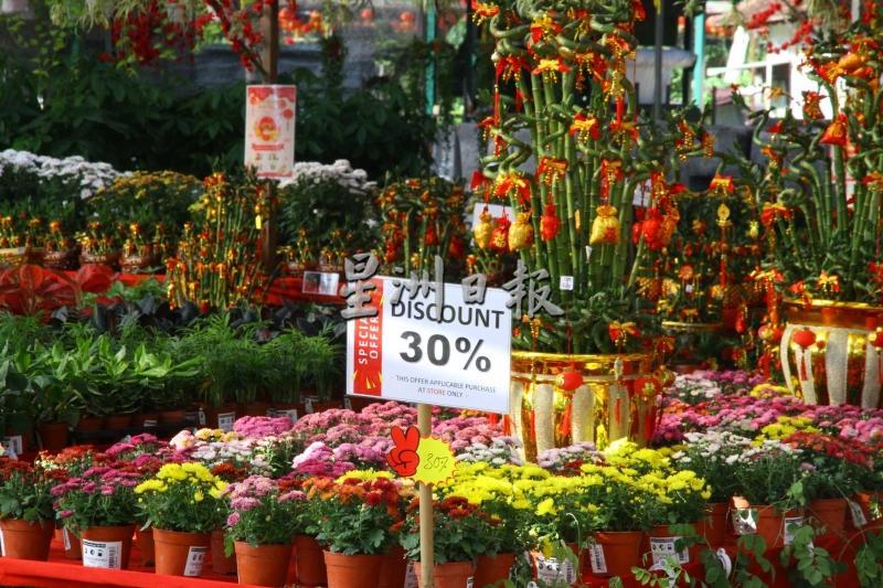 购买者大大的减少又担心花儿会凋谢，只好特价出售。