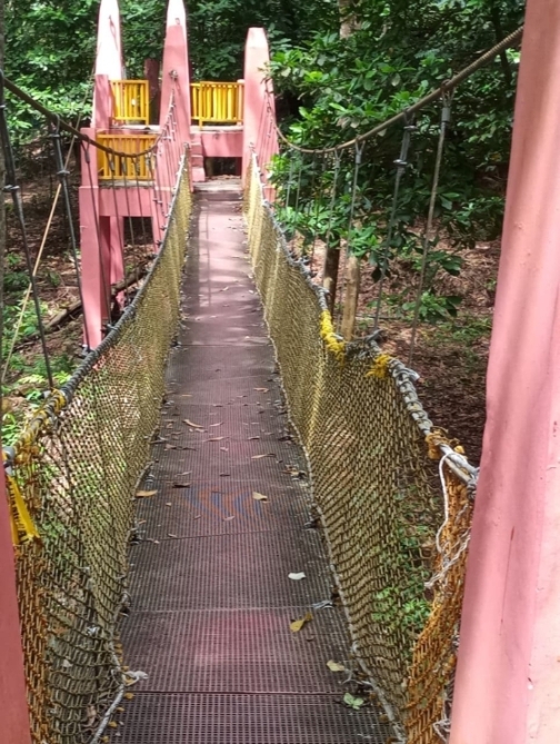摇晃的南峇吊桥，绝对安全。