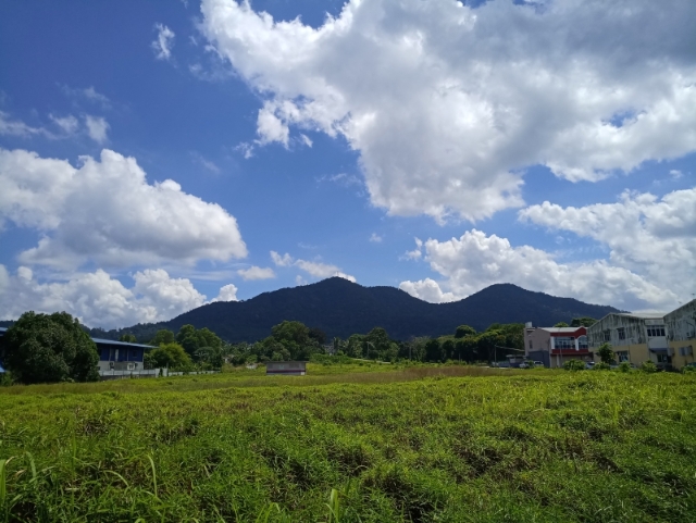 眺望南峇山的另一种顶天立地的风采。