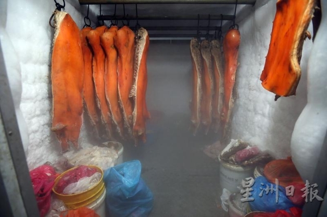 冰库内放置许多已腌制、烧烤过第一轮的猪肉。