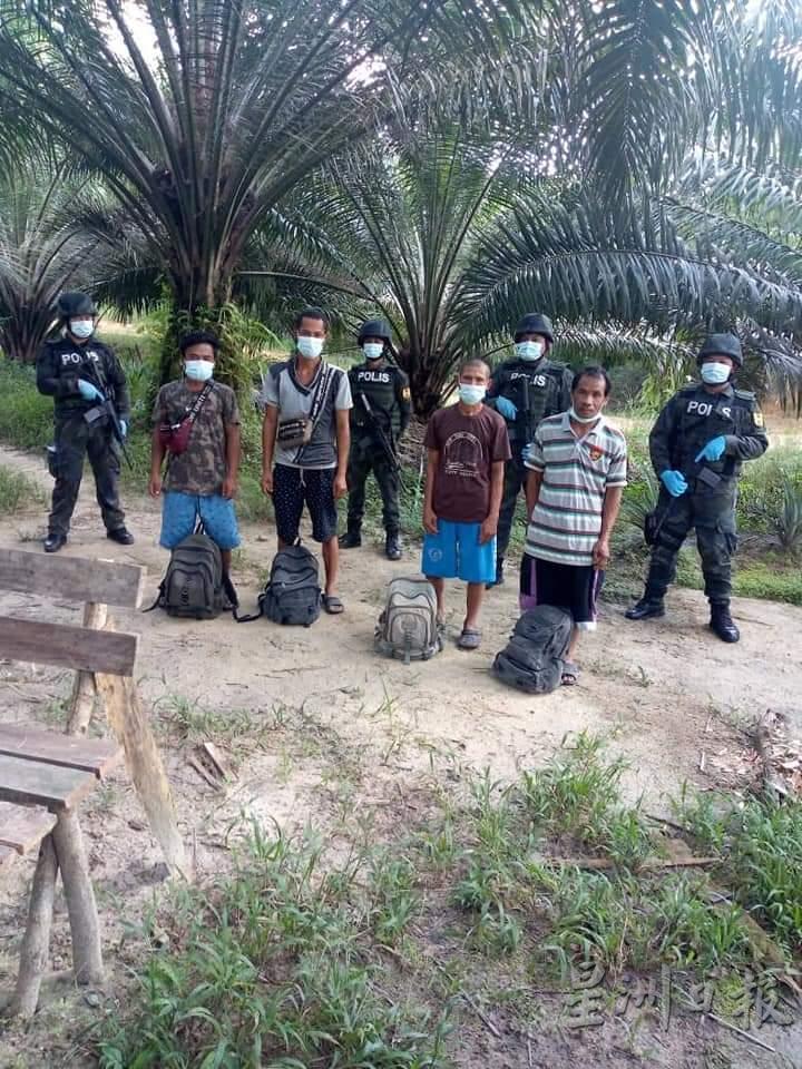 警方在棕榈园内的林间小路发现4名偷渡进入我国的印尼人。