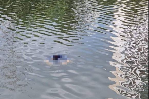 一具女性浮尸被人漂浮在湖中央。（消拯局照片）