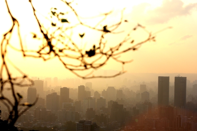 落日余晖，把台北盆地映照得一片黄澄澄。
