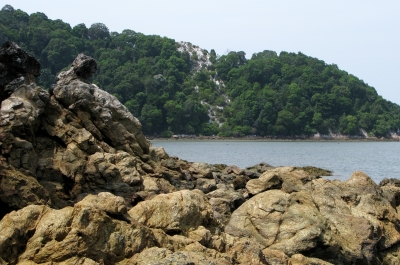 我国的岩石海岸景观。